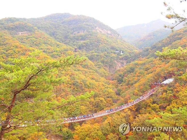 감악산 '운계출렁다리' [연합뉴스 자료사진]