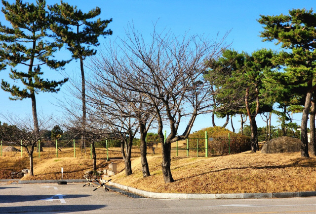 ▲ 해군1함대 낙산대 체력단련장 일대.