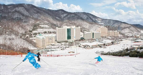 온라인 커뮤니티