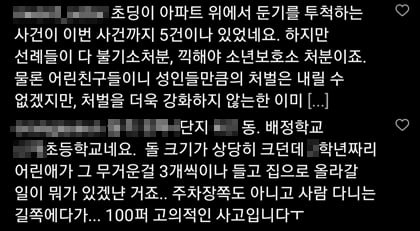 가해 초등학생의 거주지, 재학중인 학교 등을 공개한 댓글. /인스타그램