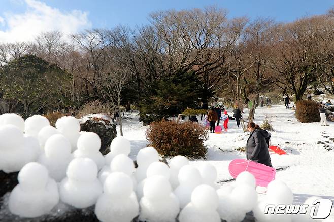 (서귀포=뉴스1) 오미란 기자 = 19일 오후 제주 서귀포시 1100고지습지 일대에서 제주도민과 관광객들이 눈썰매를 즐기고 있다.2023.11.19./뉴스1  Copyright (C) 뉴스1. All rights reserved. 무단 전재 및 재배포,  AI학습 이용 금지.