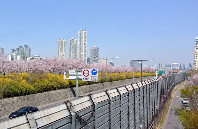주택가의 도로 소음을 막기 위해 세워진 방음벽은 소움을 줄여주는 효과가 있지만 이면에는 단점들도 적지 않다. 사진은 서울 서부간선도로에 설치된 방음벽.