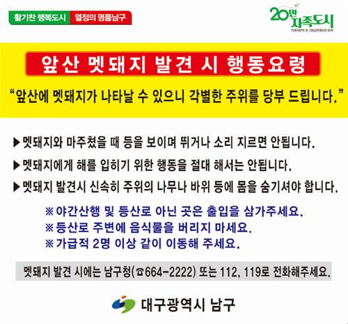 대구 남구 멧돼지 발견 시 행동요령 [대구 남구청 제공.재판매 및 DB금지]