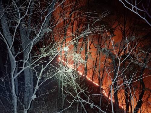천안 동남구 병천면 봉황리 야산 산불 [산림청 제공. 재판매 및 DB 금지]