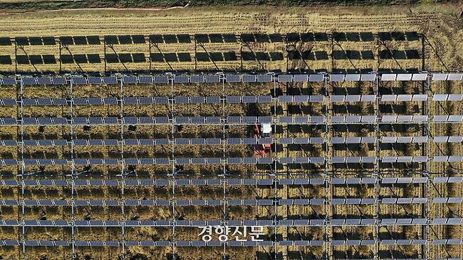 영농형 태양광 시범 농가에서 벼를 재배 중인 김태영씨가 26일 경기 파주시 적성면에 태양광 패널이 설치된 논에서 콤바인을 이용해 벼를 수확하고 있다. 권도현 기자