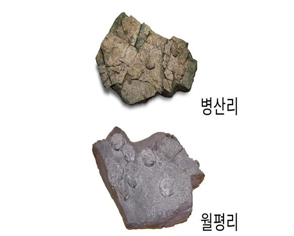 고성 병산리·월평리 공룡알 둥지화석 [고성공룡박물관 제공. 재판매 및 DB 금지]