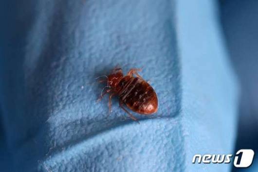 /로이터=뉴스1