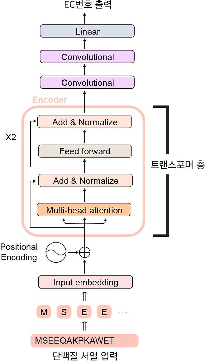 딥 EC 트랜스포머 인공신경망 구조.[KAIST 제공]