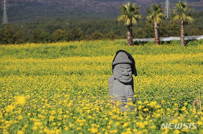 [서귀포=뉴시스] 우장호 기자 = 19일 오전 제주 서귀포시 남원읍 휴애리 농장에 서 있는 돌하르방에 관광객이 잠시 걸어놓은 외투가 시선을 끌고 있다. 2023.11.19. woo1223@newsis.com