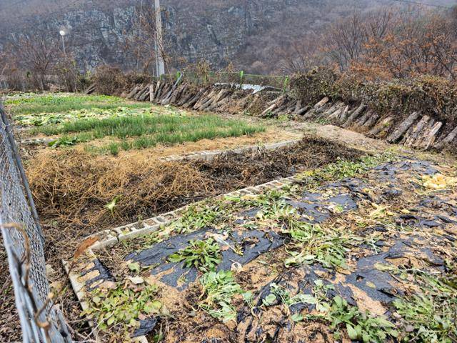 청량산풍경원 내 농사체험 실습장. 봉화=정광진 기자