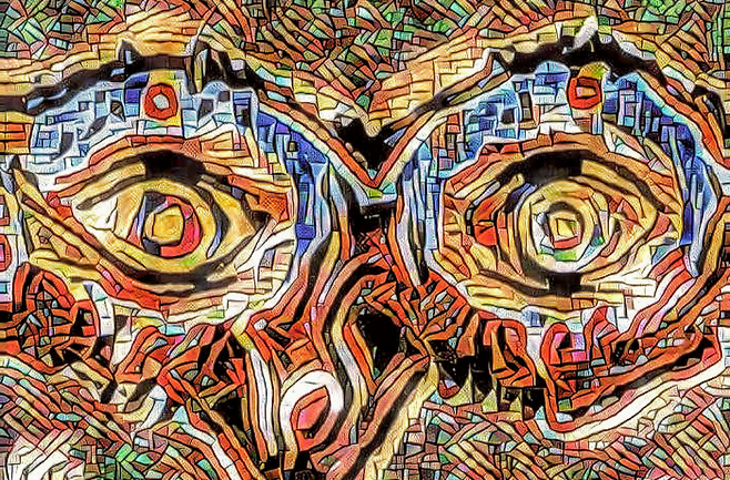 총격으로 하관이 사라진 전직 모델 ‘나’는 사람들에게 외면 당합니다. 한때 만인이 우러러 봤던 그녀를, 이제 아무도 바라보려 하지 않습니다. 책 제목처럼 ‘보이지 않는(invisible) 괴물(monster)’이 됩니다. 사진은 한 화가가 그린 추상화로, 그녀 눈빛이 아마도 이런 모습이었을 겁니다. [Aleksig6]