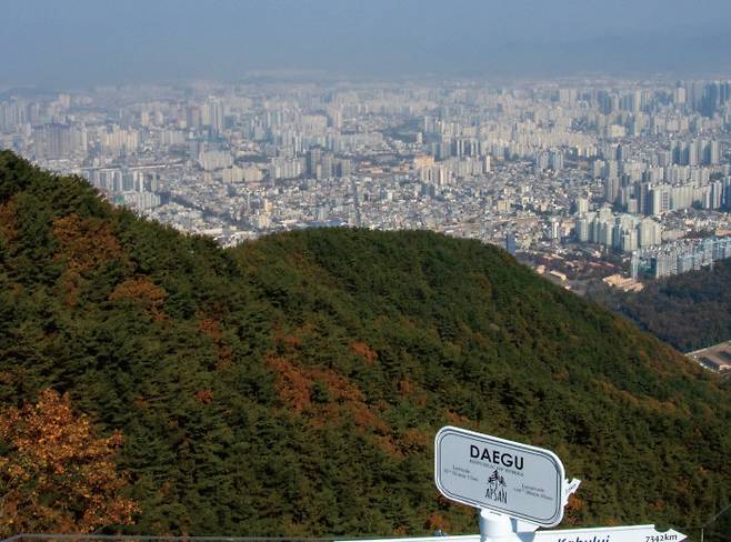 앞산공원 전망대에서 내려다본 대구시내 전경. [박해윤 기자]