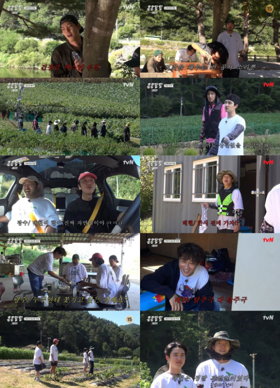 tvN '콩 심은 데 콩 나고 팥 심은 데 팥 난다'./사진=tvN '콩 심은 데 콩 나고 팥 심은 데 팥 난다' 영상 캡처