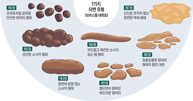 브리스톨 대변표./사진=게티이미지뱅크