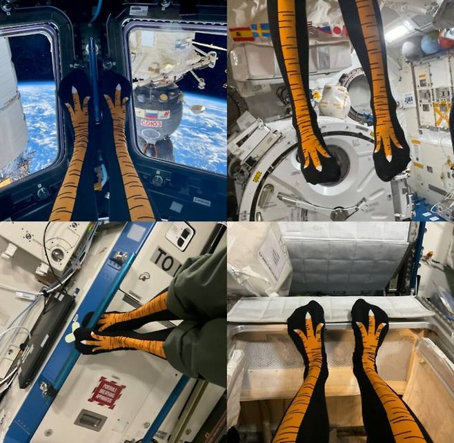 지난 24일 로랄 오하라 미국 항공우주국(NASA) 우주비행사가 국제우주정거장(ISS)에서 미국 추수감사절 기념 칠면조 양말을 신은 모습. 로랄 오하라 X 캡쳐
