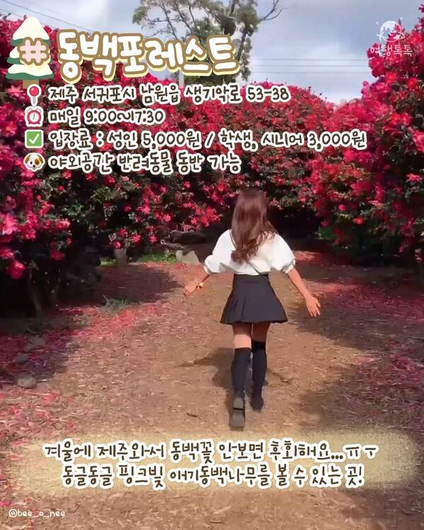 12월 제주 가볼만한 곳 ⓒ여행톡톡