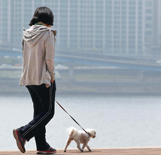 본 기사와 무관한 사진. [사진 출처=매경DB]