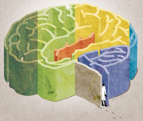 기억은 뇌의 다양한 영역에서 처리되고 저장된다. 사람과 사물·장소·사실·사건에 대한 기억은 단기적으로 전전두엽피질(왼쪽 끝 초록색 부분)에 저장된 뒤, 해마(주황색)에서 장기 기억으로 변환된 다음, 관련 감각들을 관장하는 피질에 저장된다. 운동기억(연두색), 체감각기억과 청각기억(노란색), 시각기억(오른쪽 끝 파란색)은 각각의 피질 부위에, 솜씨와 습관 등의 기억은 소뇌(보라색)에 저장된다./정인성 기자