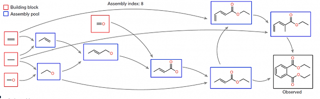 분자의 복잡도를 나타내는 조립지수(assembly index)는 구성요소(building block)에서 어떤 분자를 만드는 최단 경로의 단계 수다. 그림에서 에탄올(아래 왼쪽에서 두 번째)의 조립지수는 1이고 디에틸프탈레이트(observed)는 8이다. 네이처 제공