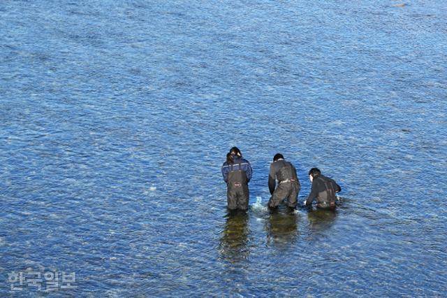 단천교 아래 시린 강물에서 주민들이 물고기를 잡고 있다.
