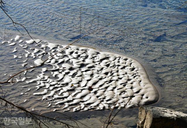 예던길에서 보는 낙동강. 물결 문양의 새 모래톱이 형성되고 있다.