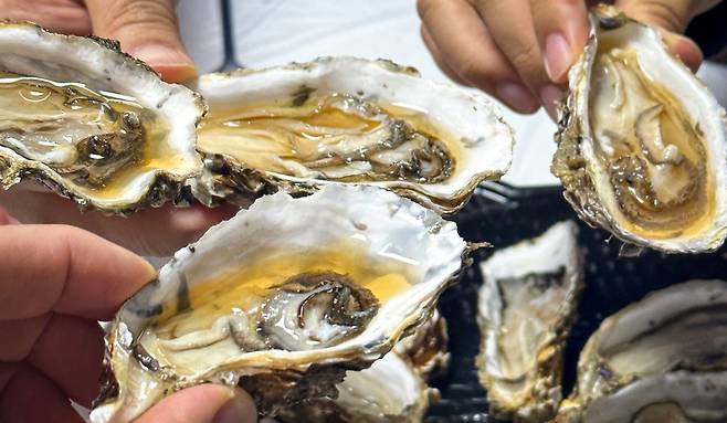 석화에 피트 위스키를 부어마시는 방법. /김지호 기자