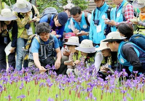숲해설가 교육 모습. /숲생태지도자협회 홈페이지 캡처