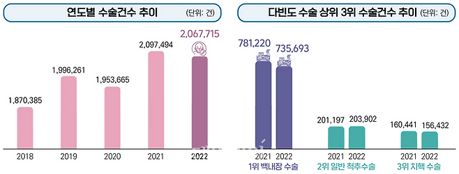 2022 주요수술 통계연보. ⓒ국민건강보험공단