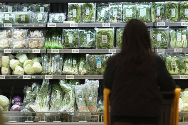 30일 서울의 한 대형마트에서 장을 보는 시민들. 연합뉴스