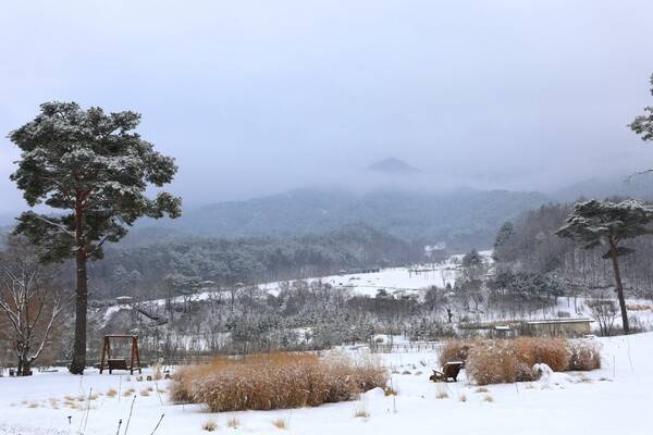 출처: 국립백두대간수목원 갤러리 (국립수목원 여행)