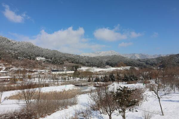 출처: 국립백두대간수목원 갤러리 (국립수목원 여행)