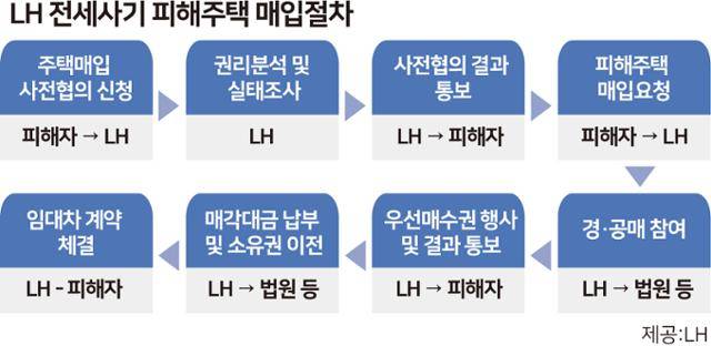 LH 전세사기 피해주택 매입절차. 그래픽=박구원 기자