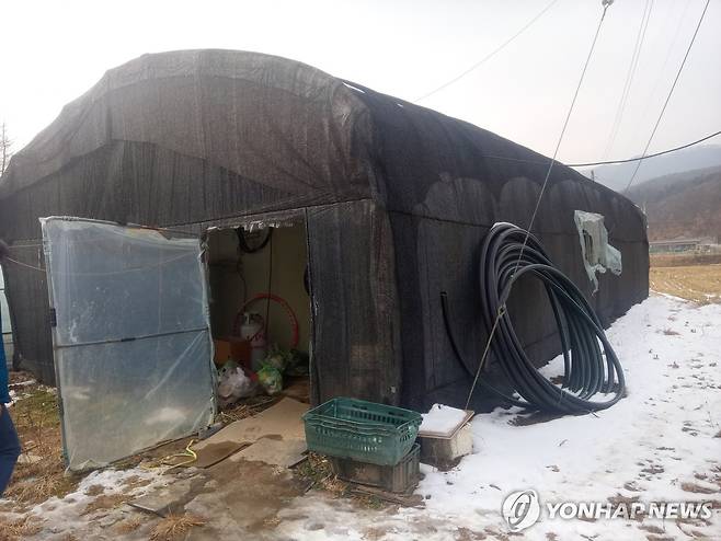 캄보디아 여성 노동자 속헹 씨가 살았던 기숙사 [김달성 목사 제공]