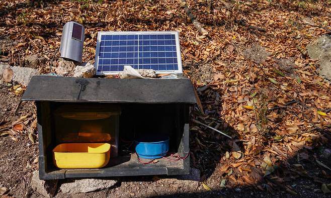 서울의 한 공원에 마련된 길고양이 급식소. 태양광으로 물이 얼지 않게 유지되고 있다.
