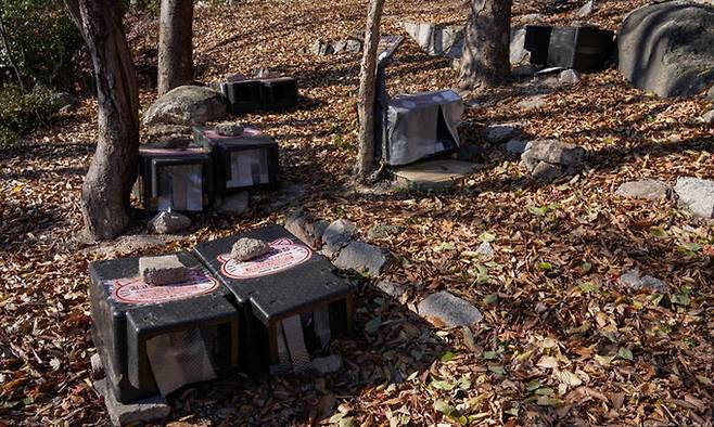 서울의 한 공원에 마련된 길고양이 겨울집. 20개 정도의 집이 놓여 있었지만 고양이의 모습은 찾을 수 없었다.