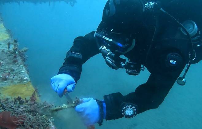 수중 정화 활동하는 회원 [환동해특수대응단 박두철 소방장 제공. 재판매 및 DB 금지]