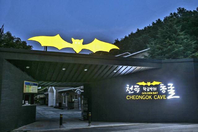 ▲ 도심속에 위치한 동해 천곡황금박쥐동굴에 청소년 단체 관람객수가 지난해 299명이던 것이 올들어 12월 4일까지 1195명으로 급격히 증가했다.