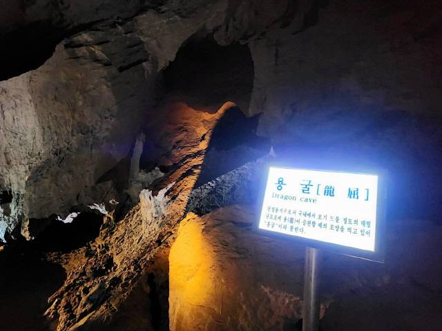 ▲ 도심속에 위치한 동해 천곡황금박쥐동굴에 청소년 단체 관람객수가 지난해 299명이던 것이 올들어 12월 4일까지 1195명으로 급격히 증가했다.