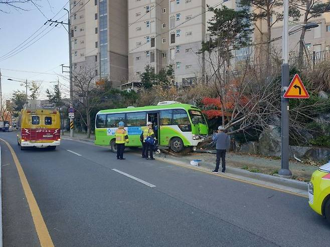 [창원=뉴시스] 강경국 기자 = 4일 오전 경남 창원시 진해구 남문동 편도 2차로 도로에서 마을버스가 가로수를 충돌하는 사고가 발생했다. (사진=독자 제공). 2023.12.04. photo@newsis.com *재판매 및 DB 금지