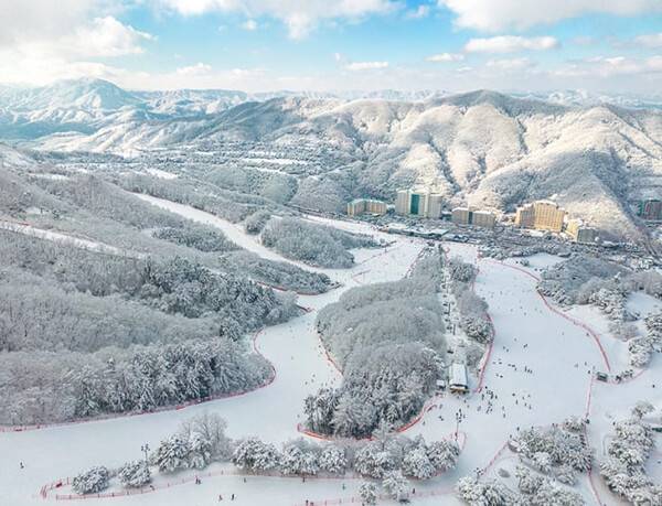 온라인 커뮤니티