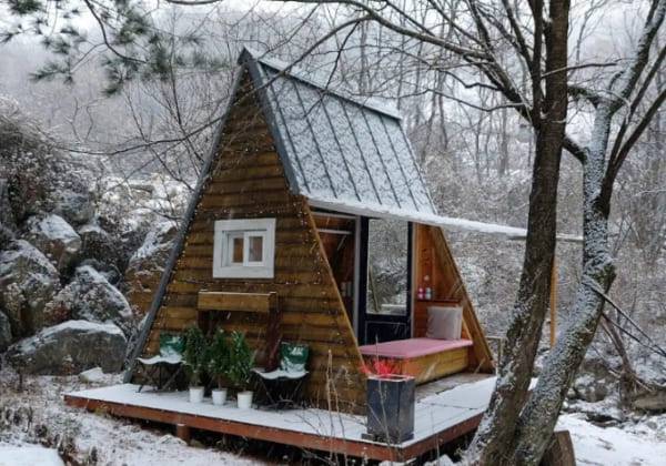 온라인 커뮤니티