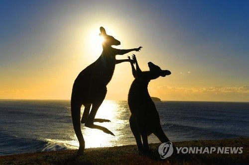 [사진출처=EPA/연합뉴스 자료사진]