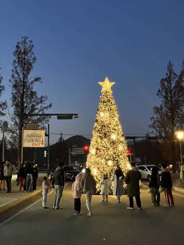 담양 메타프로방스에 설치된 대형 크리스마스 트리 / 사진=담양군 제공