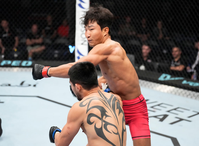 이정영. UFC