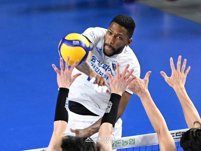 삼성화재 요스바니. 프로배구연맹 제공