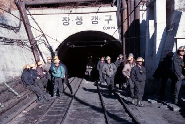 강원도 태백시 장성광업소에서 작업을 마친 광부들이 장성갱구 입구로 빠져나오고 있다. 장성광업소는 단일 광업소로는 국내 최대 규모였지만 내년 6월 폐광될 예정이다. 태백시 제공