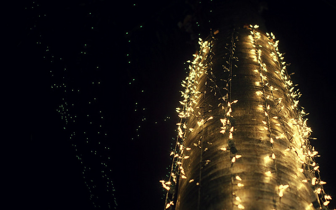 필리핀 세부 크리스마스 축제 / 사진=flickr
