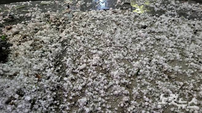 6일 밤 부산에 갑자기 우박이 떨어져 놀란 시민들이 몸을 피하는 등 소동이 빚어졌다. 다행히 다친 사람은 없는 것으로 알려졌다. 부산CBS