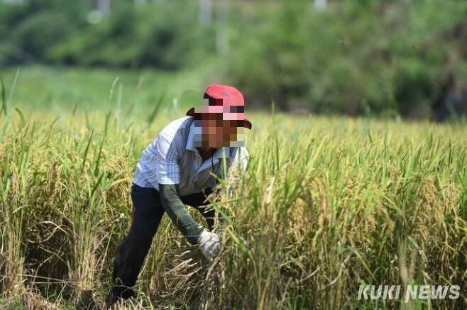 쿠키뉴스 자료사진