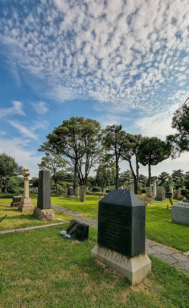 서울 양화진외국인선교사묘역에 있는 조지(앞)와 앨버트(가운데) 테일러 부자 묘지./박종인